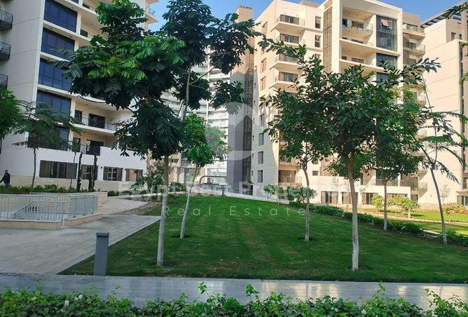 7918631 - صورة العقار 3