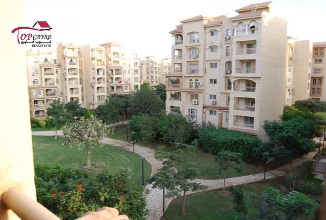 8441741 - Property Image 3