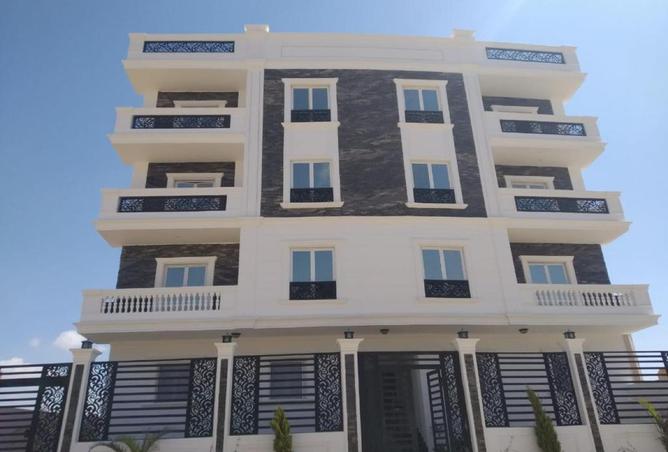 8191678 - Property Image 3