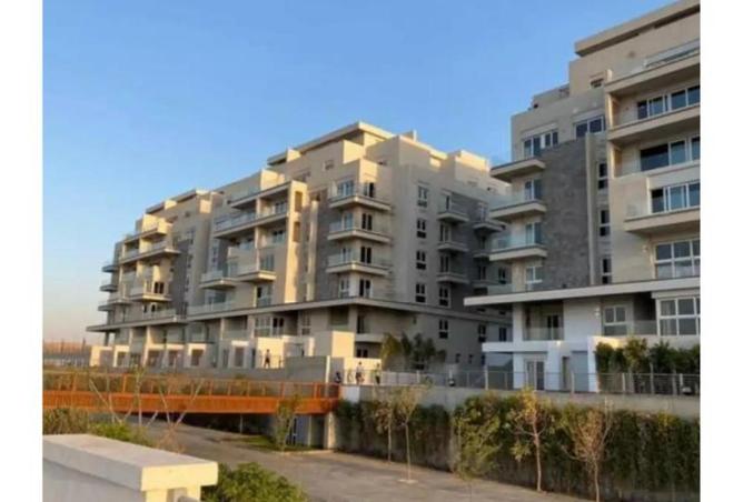 8133518 - Property Image 2