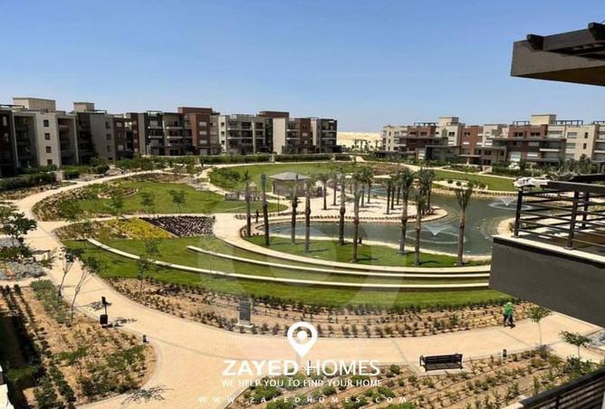 7991469 - صورة العقار 3