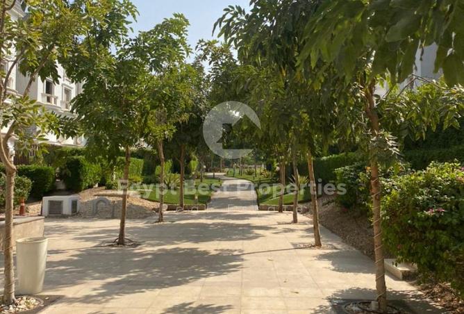 7957110 - صورة العقار 3