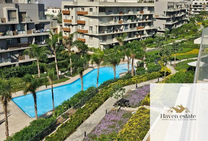 8298021 - Property Image 3