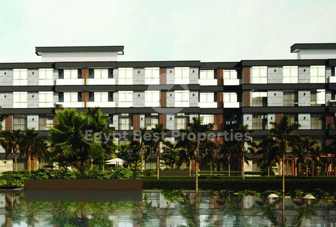 8069837 - Property Image 3