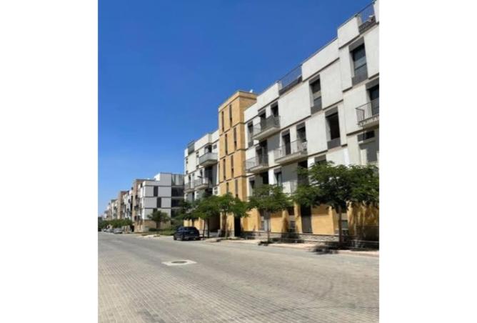 8436529 - Property Image 3