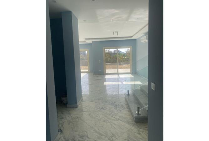 8423797 - Property Image 3