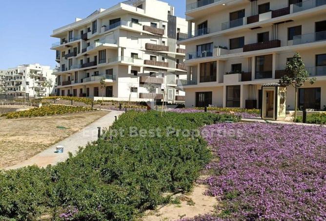 8276865 - Property Image 2