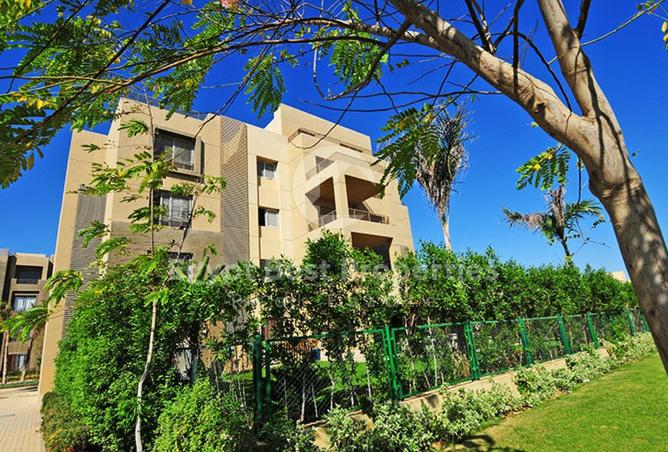 8400529 - الصورة الرئيسية للعقار