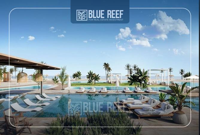 8409928 - Property Image 2