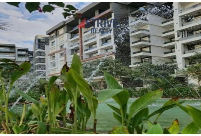 8279156 - صورة العقار 3