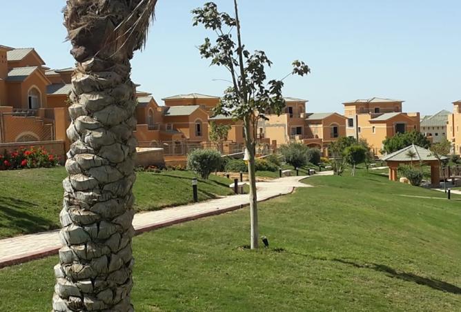 8388983 - Property Image 3