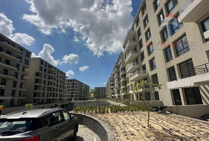 7917624 - Property Image 3