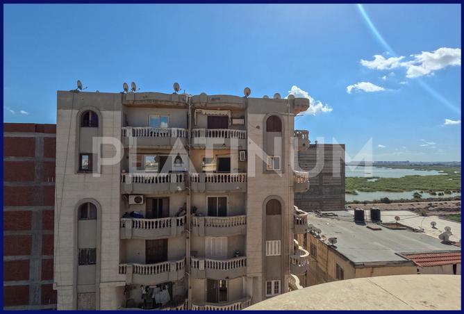 7980943 - صورة العقار 2