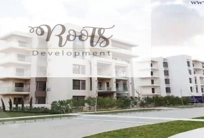 7977938 - Property Image 3