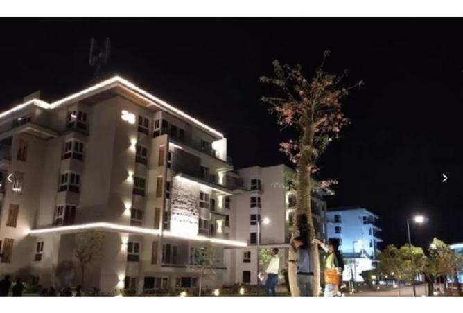 8196106 - صورة العقار 2