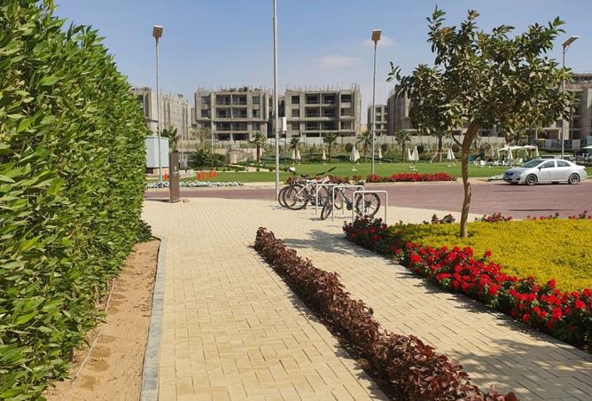 8091744 - صورة العقار 3