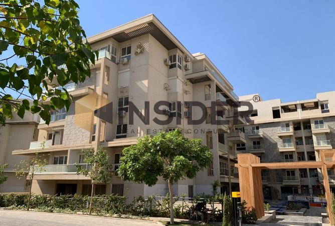 8130486 - Property Image 2