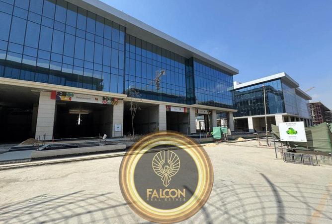 8438081 - Property Image 3