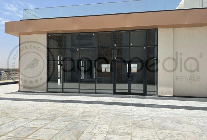 8402061 - Property Image 3