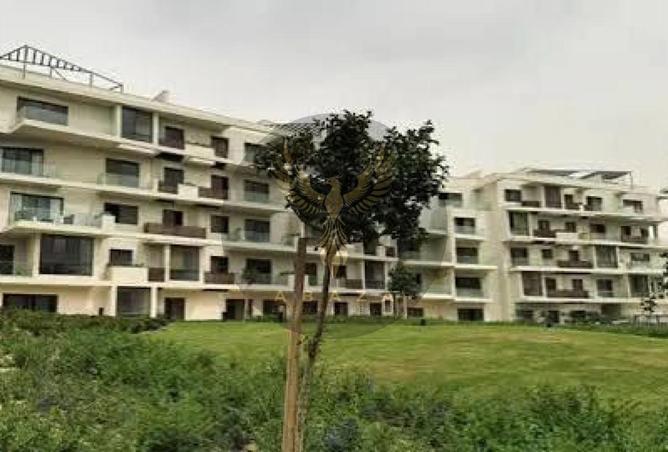 8157984 - Property Image 3