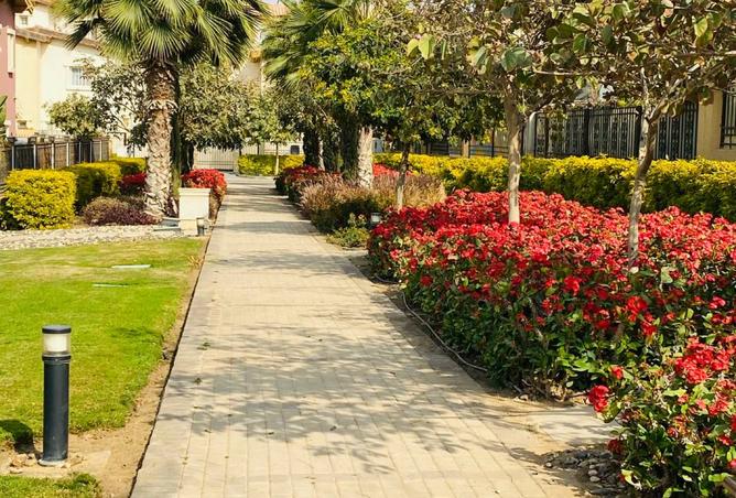 8296439 - صورة العقار 3