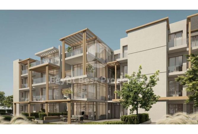 8264662 - Property Image 3