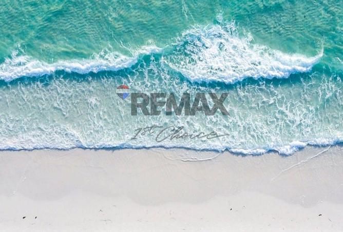 7953720 - صورة العقار 2