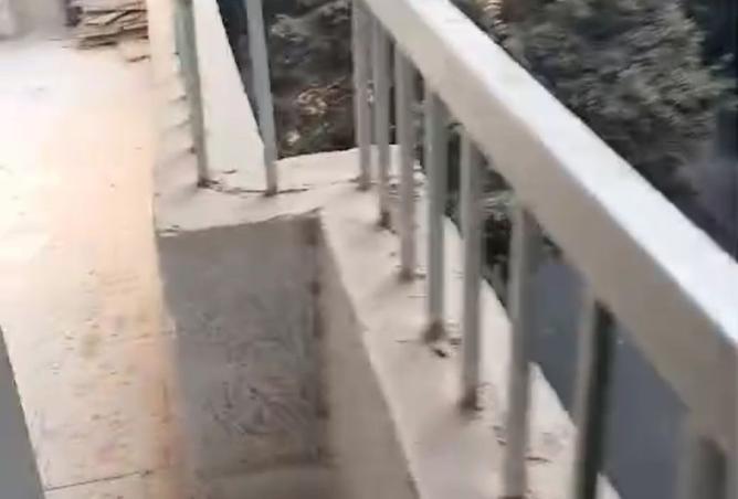 8295636 - صورة العقار 2