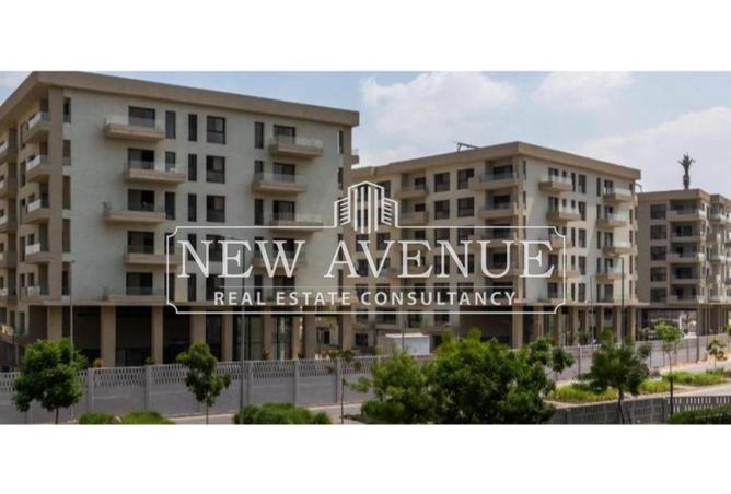 8381890 - Property Image 2