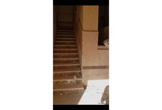 8000396 - صورة العقار 2