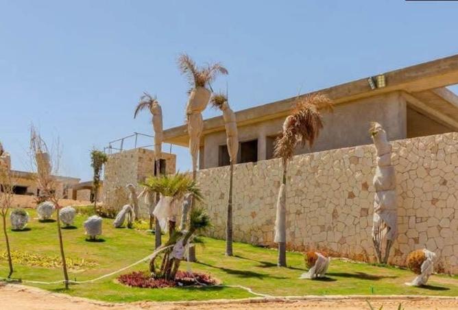 8198443 - Property Image 3