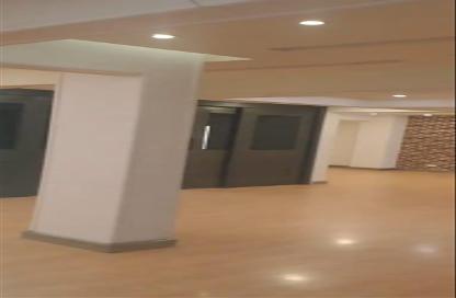 Office Space - Studio - 3 Bathrooms for rent in Shehab St. - Mohandessin - Giza