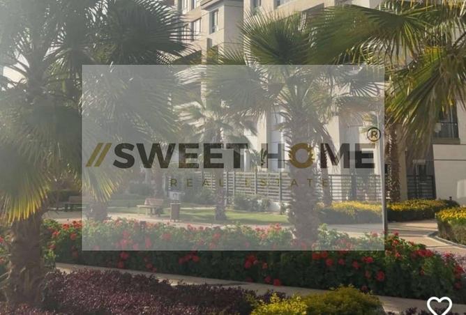 8170704 - Property Image 3