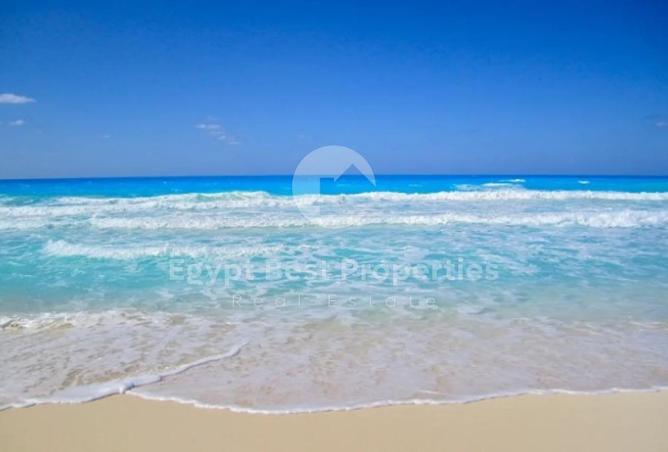 7931653 - صورة العقار 3