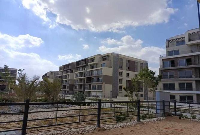 8452883 - Property Image 3