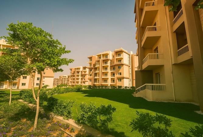 8000359 - صورة العقار 3