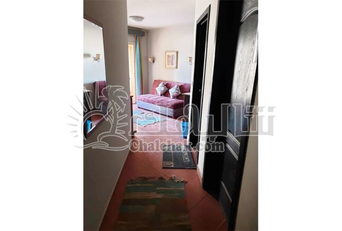 8117356 - Property Image 2