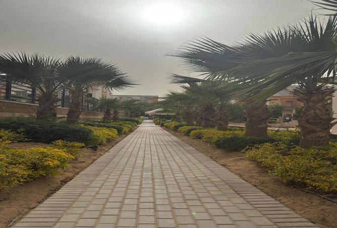 7988904 - صورة العقار 2