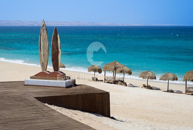 7982337 - Property Image 3