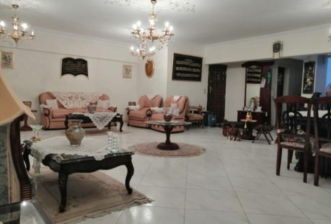 8219828 - Property Image 3