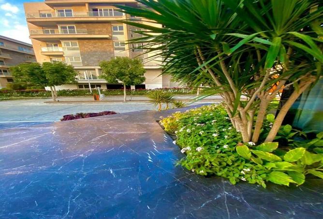 8294407 - Property Image 2