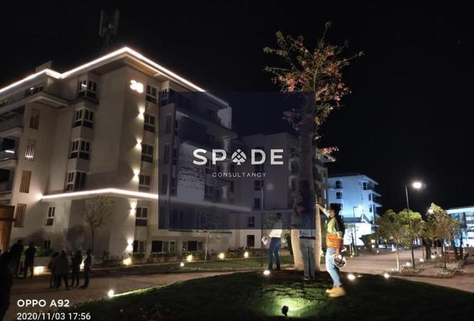 8542982 - Property Image 3