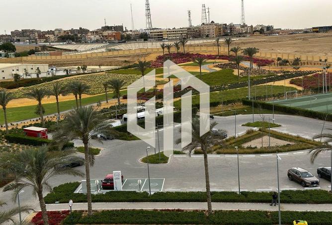 7984163 - صورة العقار 2