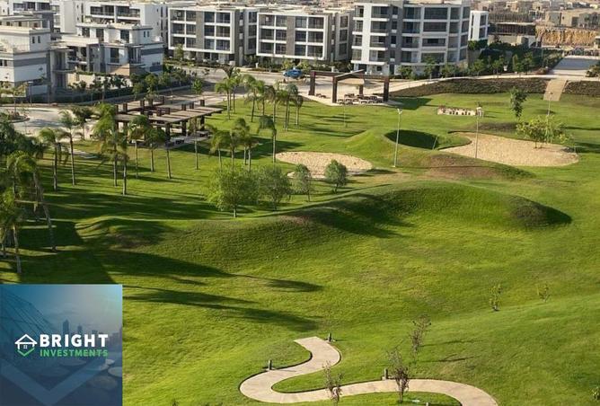 8239388 - صورة العقار 3