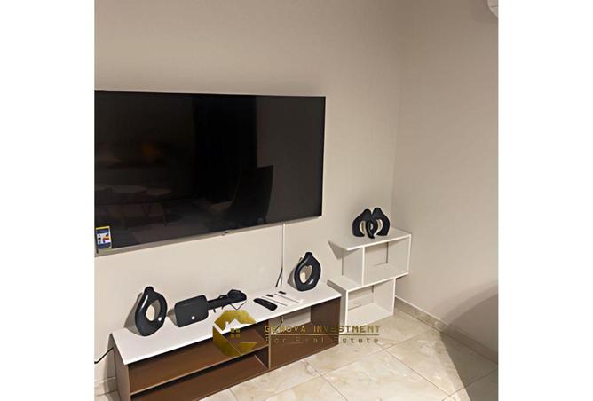 8147057 - Property Image 3