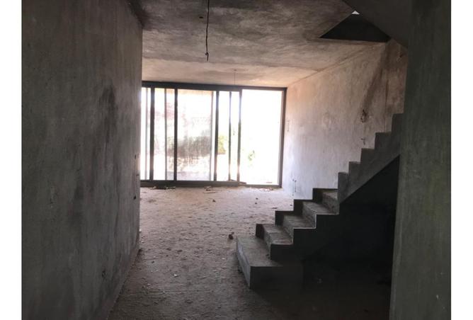 8132706 - صورة العقار 3
