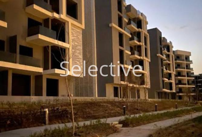 8067912 - Property Image 2