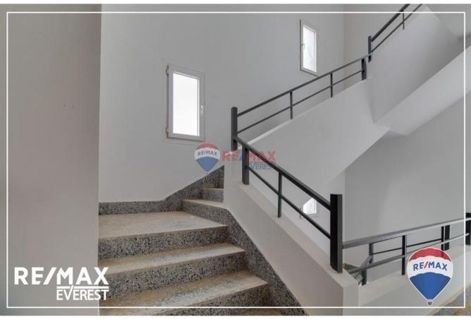 7979202 - صورة العقار 2