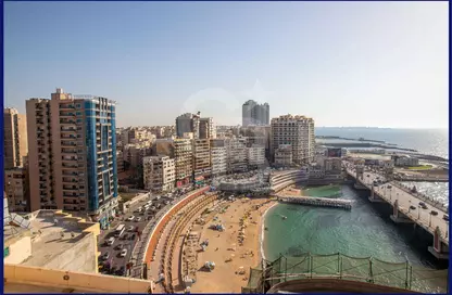 Apartment - 3 Bedrooms - 3 Bathrooms for sale in Shohdy Basha St. - Stanley - Hay Sharq - Alexandria