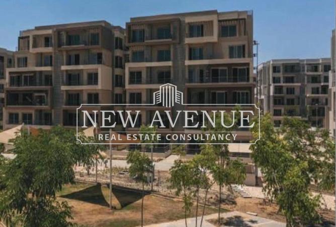 8212743 - Property Image 3